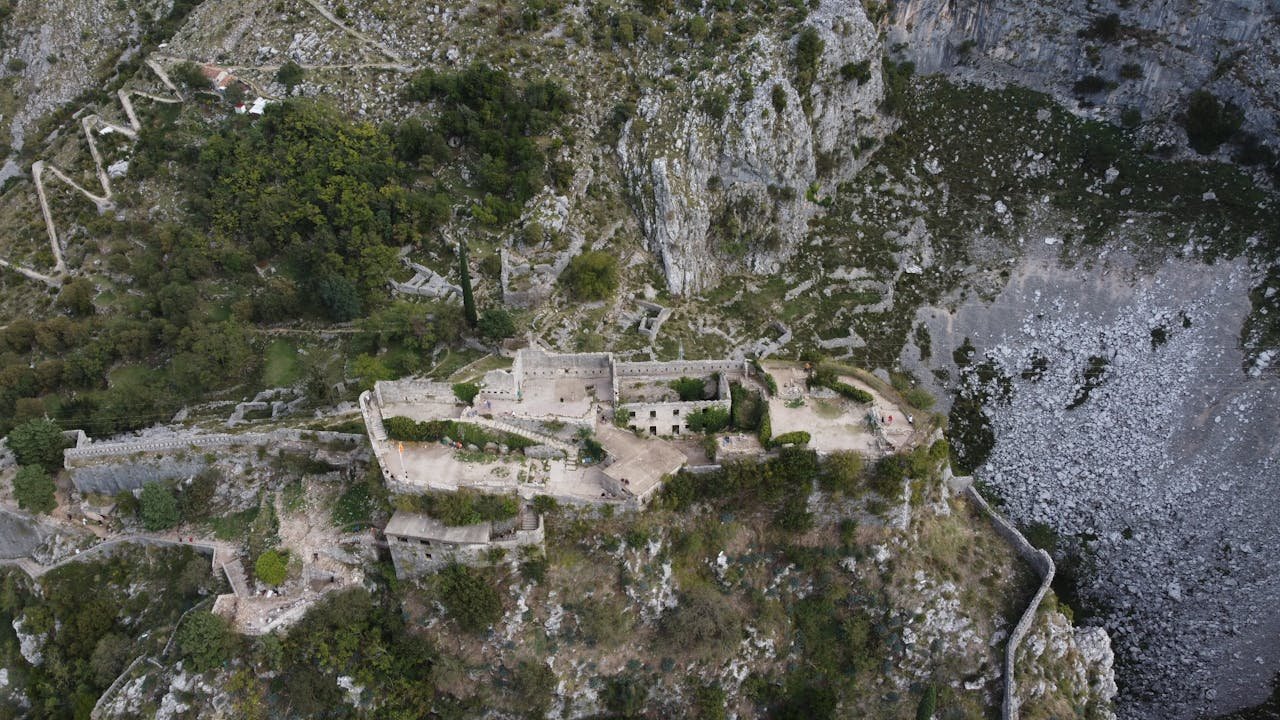 pexels photo 19453550.jpeg